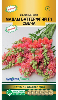Львиный зев Мадам Баттерфляй Свеча