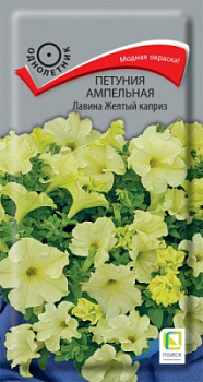 petunia_ampel_lavina_zhelty_kapriz