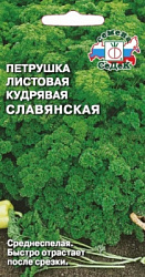 petrushka_slavyanskaya 1