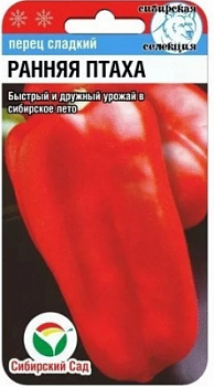 Ранняя птаха