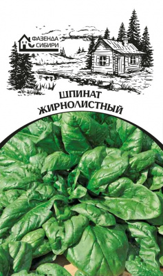 shpinat zhirnolistniy faz