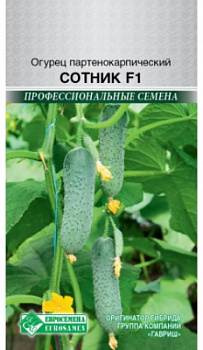 Огурец Сотник партенокарпик