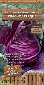 kapusta_krasnokoch_krasnoe_serdce