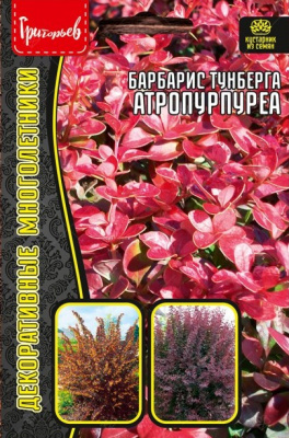 Барбарис
