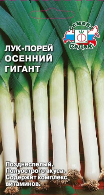 luk_osenniy_gigant
