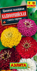 Цинния Калифорнийская, смесь сортов_ЦП