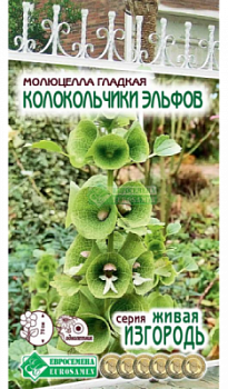 Молюцелла Колокольчики Эльфов