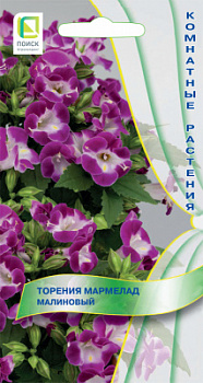 Torenia-Marmelad-Malinoviy