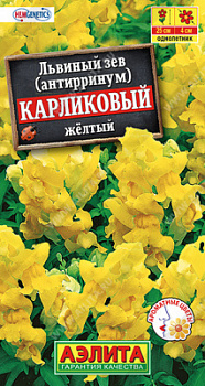 Львиный зев карликовый желтый