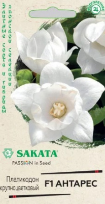 Платикодон Антарес