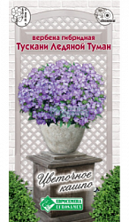 Вербена Тускани Ледяной Туман