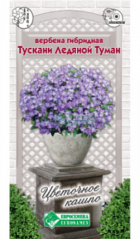 Вербена Тускани Ледяной Туман