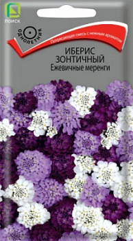 Иберис зонтичный Ежевичные меренги