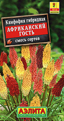 Книфофия Африканский гость, смесь сортов_ЦП