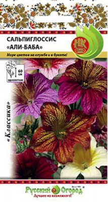 Сальпиглосис Али баба