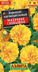 Кореопсис Махровое солнышко