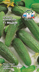 Огурец мадам