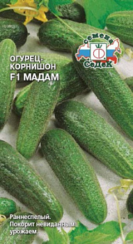 Огурец мадам