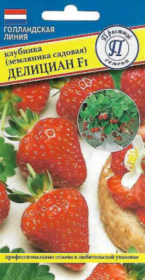 Клубника дилициан