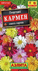 Георгина Кармен