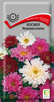 Космея Махровая Кнопка