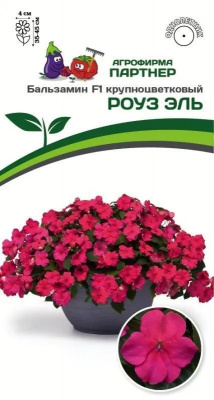 Бальзамин роуз эль