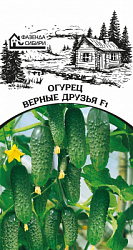 ogurec-vernie-druzyia-faz-69-04-ru