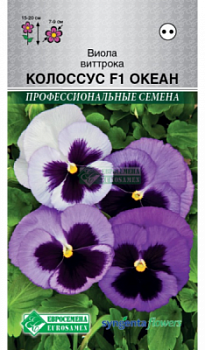 Виола Колоссус Океан