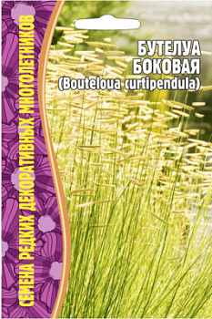 butelua-bokovaja(1)-750x750