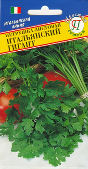 Петрушка Итальянский гигант