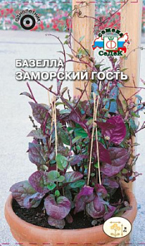 bazella_zamorskiy_gost