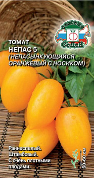 tomat_nepas_5_nepasynkuyushchiysya_oranzhevyy_s_nosikom