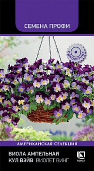 viola_ampelnaya_kul_veyv_violet_ving