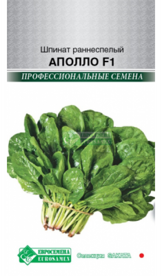 Шпинат Аполло