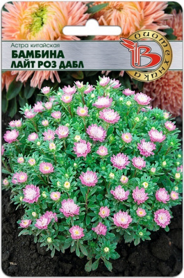 Бамбина