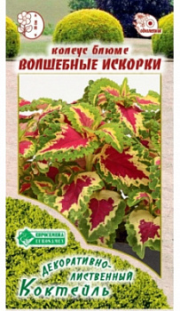 Колеус Волшебные Искорки
