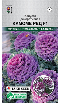 Капуста декоративная Камоме Ред
