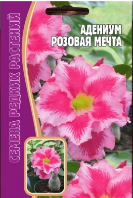 Адениум Розовая мечта