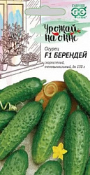 Огурец Берендей