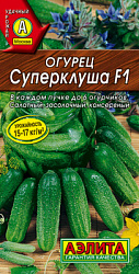 Огурец Суперклуша F1_ЦП