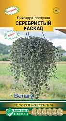 Дихондра ползучая Серебристый  Каскад