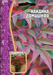 Нандина
