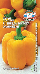 perets_zvezda_vostoka_oranzhevaya_f1 (1)