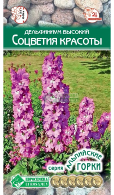 Дельфиниум высокий Соцветия Красоты