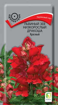 lviniy_zev_nizkorosliy_drakosha_krasniy