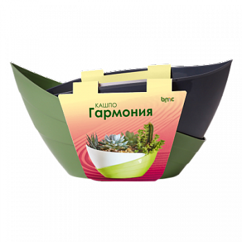 Оливковый антрацит