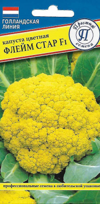 Флейм
