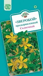 Зверобой