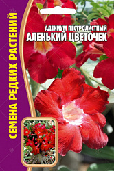 Адениум_пестролистный_Аленький_цветочек_(Григорьев)