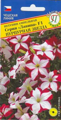 Петуния Лавина Пурпурная звезда